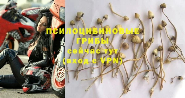 ГАЛЛЮЦИНОГЕННЫЕ ГРИБЫ Осинники